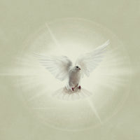 Spirit Breathe